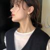 Silver Hoop Earrings: Korean Style, Popular, All-Match, High-End, Celebrity Fashion