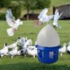 Pigeon Drinker Bird Water Bucket Cage Accessories Dispenser for Peacock