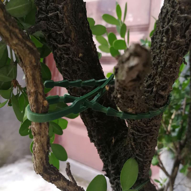 Регулируемые пластиковые кабельные стяжки для растений, многоразовые кабельные стяжки для садовых деревьев, опора для вьющихся растений, зажим для стебля томата