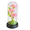 LED immortal rose glass cover light, three-pack atmosphere night light Qixi Festival Christmas gift direct supply