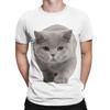 British Shorthair Graphic 100 Cotton TShirt Shorthair Tees Tops For Unisex