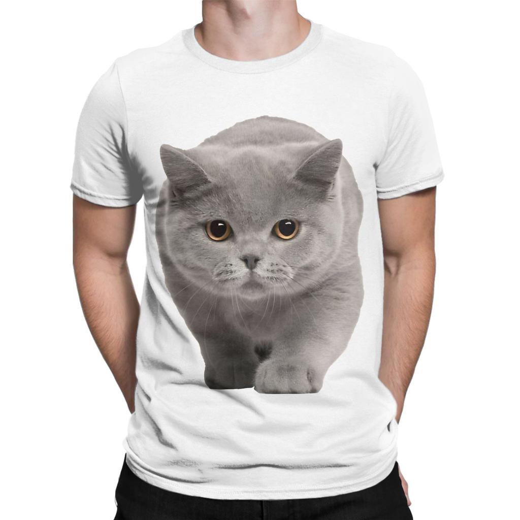 British Shorthair Graphic 100 Cotton TShirt Shorthair Tees Tops For Unisex