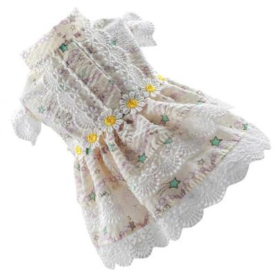 Одежда и обувь – Платья для собак