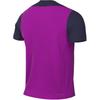 Nike Мужская тренировочная футболка FC Barcelona Dri-FIT приталенного кроя, фиолетовая HJ6570-552