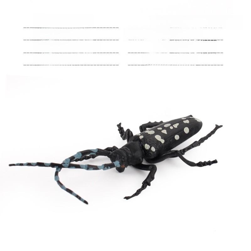 Набор коллекционера насекомых с ПВХ осами, муравьями, сверчками, реалистичными моделями животных для научных проектов и подарков