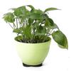 48pcs Plant Pots Feet For Outdoor Flower Pot Feet Invisible Plant Pots Risers Pad Gardening Pot