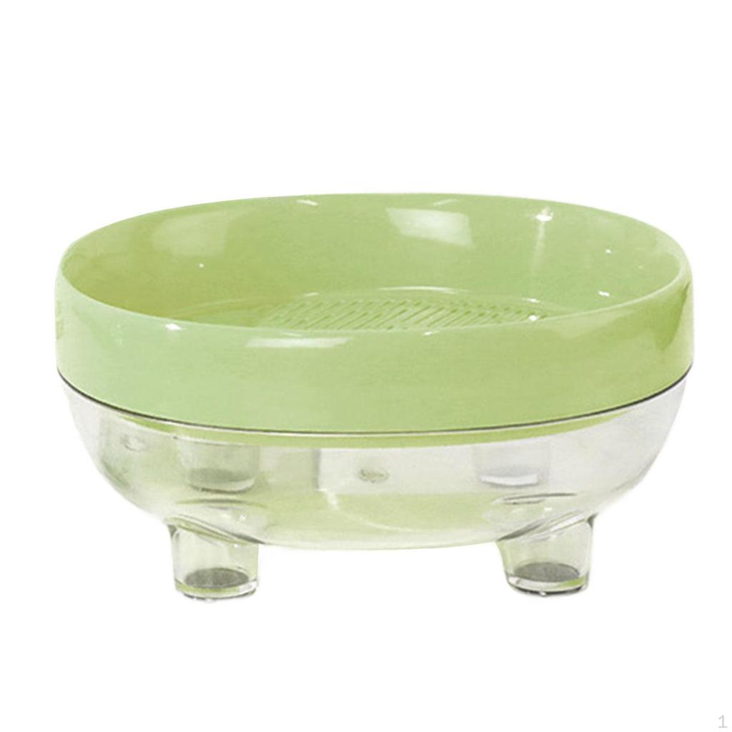 Cat Grass Box Seed Tray Easy To Plant Growing Planter Catnip Cultivation for