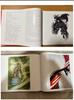 [USED] Yoshitaka Amano Art Collection "Vampire Hunter D" Kanoke First Edition