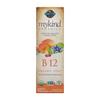 Mykind Organics B-12 Органический спрей со вкусом малины, 2 жидких унции