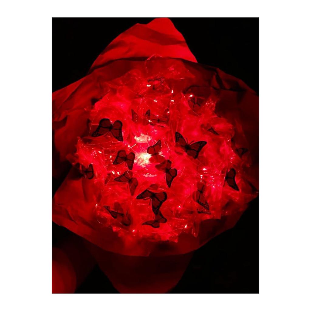 Red Butterfly Illuminated (led) Flower Bouquet