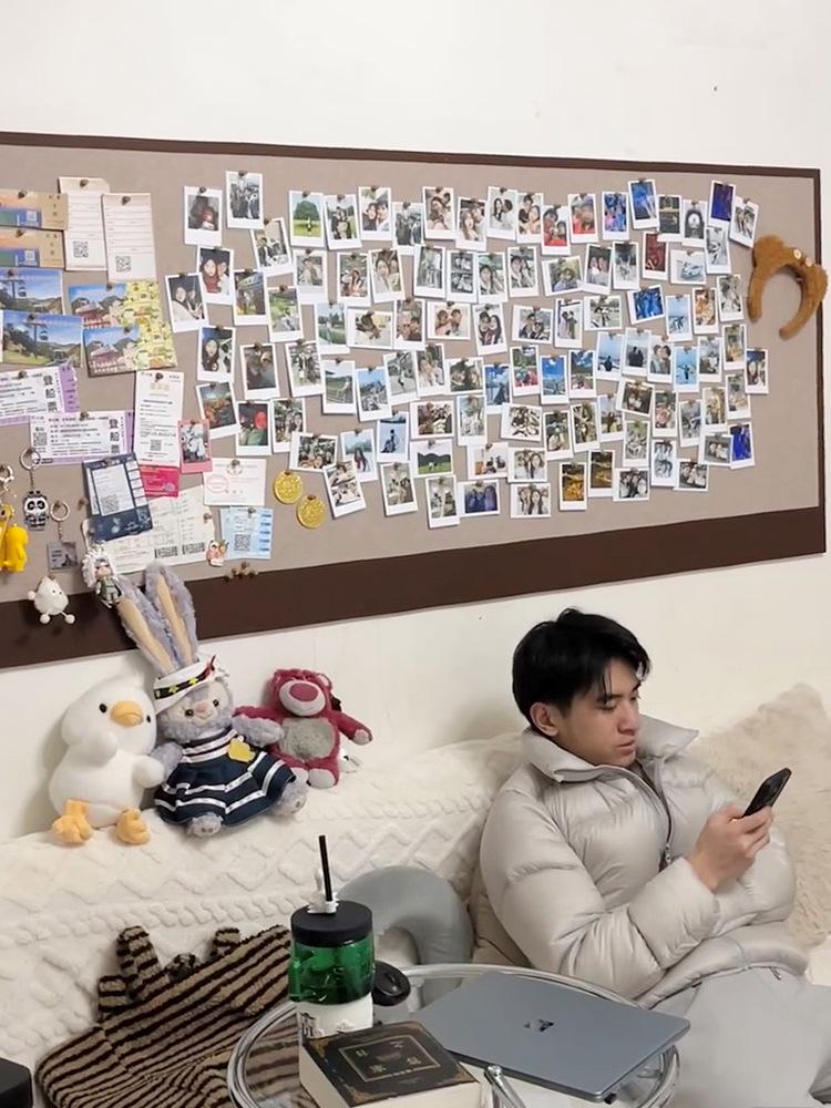 Зависть Фетровые наклейки на стену из фарфора для демонстрации фотографий и произведений искусства