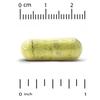 Quercetin, 500Mg, 180 Veggie Caps