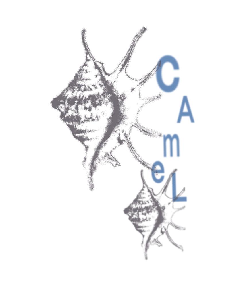 CAMEL WORK Футболка с коротким рукавом Тюрбан Улитки (белый)