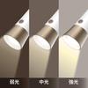 ZEPEAL Rechargeable LED Stand Light Flashlight Charging Dimmable USB White DJS-H1020-WH
