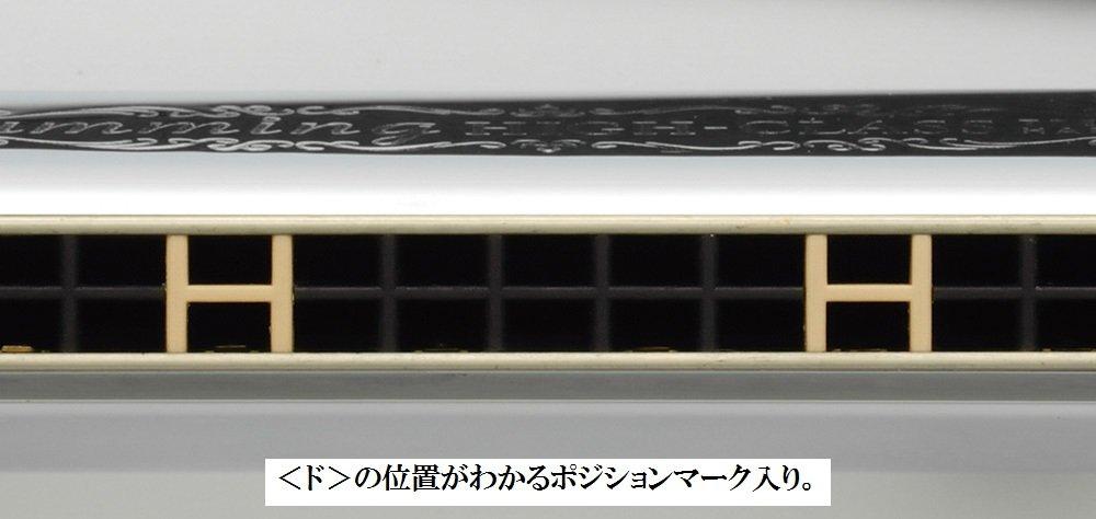 SUZUKI Suzuki 21 отверстие двухтональная губная гармошка Suzuki высококачественный гудящий FNm тон SU-21W