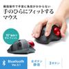 Sanwa Supply Bluetooth Трекбол, Тихий, 3-кнопочный, Оптический, MA-BTTB130BK