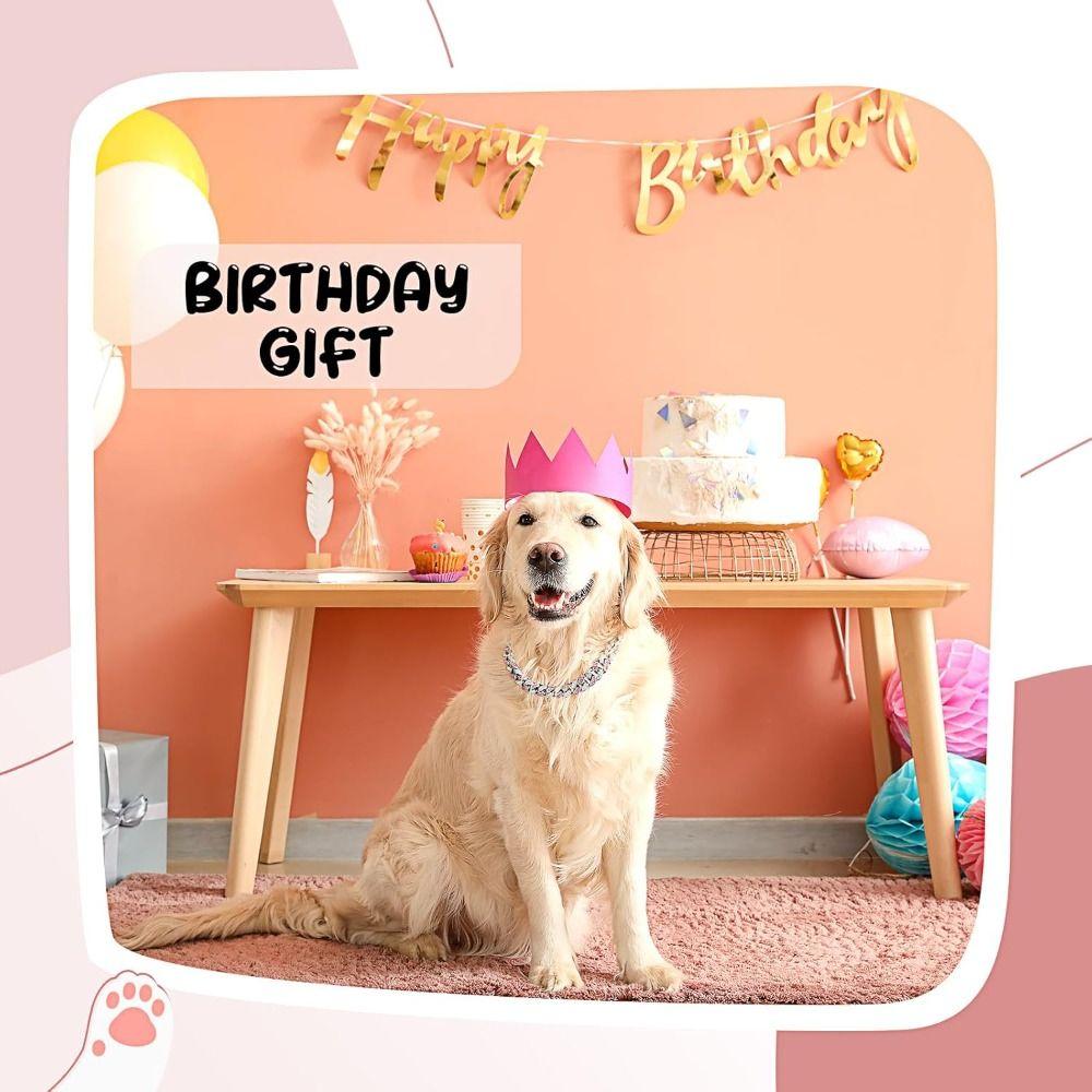 New Link Chain Dog Diamond Chain Collar Inlaid Rhinestone Diamond Link Chain Hip Hop 12mm Pet Crystal