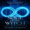 Soul of the Witch by Robert Sanborn Paperback Book 9781036705749