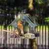 Attract Beautiful Wild Birds with These Acrylic Bird Feeders - Easily Mountable with Suction Cups