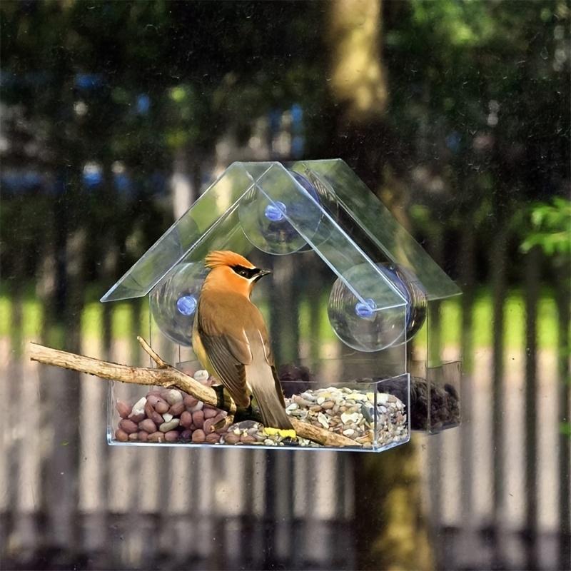 Attract Beautiful Wild Birds with These Acrylic Bird Feeders - Easily Mountable with Suction Cups