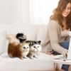 Милая имитация кошки, плюшевые игрушки, мягкая игрушка в виде котенка, поддельная кошка, реалистичные животные для детей, девочек, подарок на день рождения и день святого Валентина