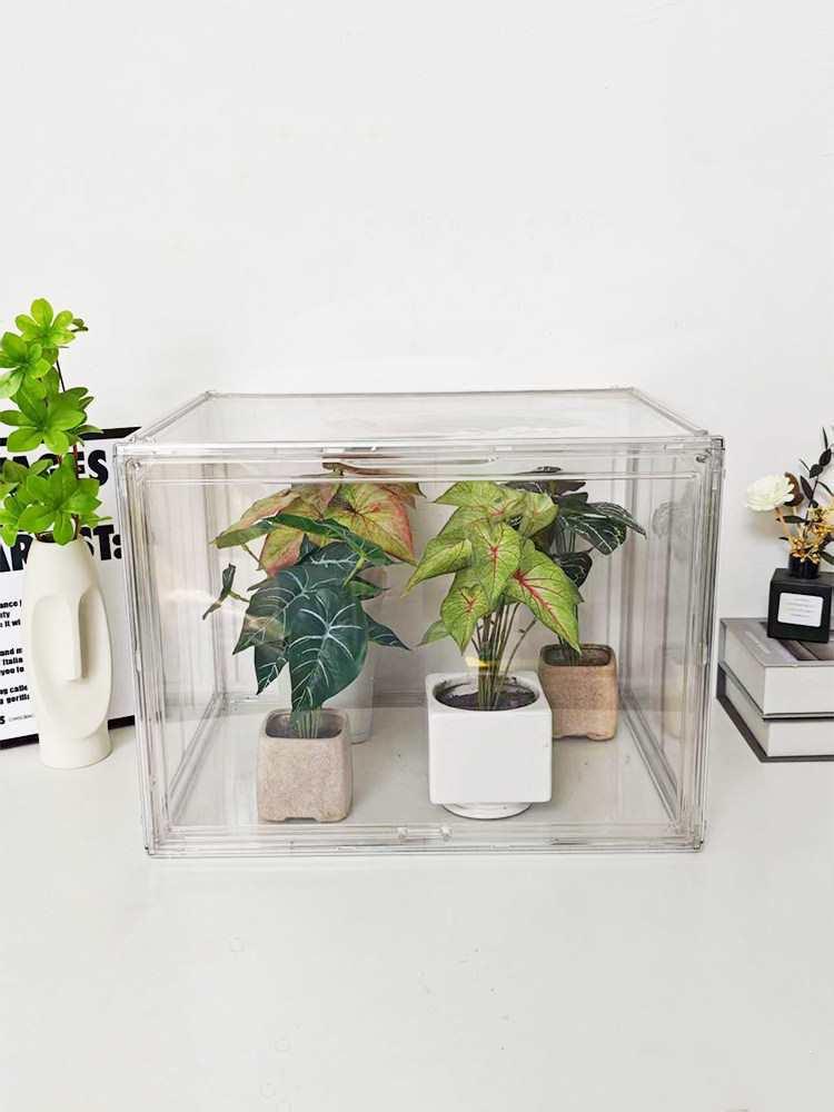 Plant Misting Box: Transparent Acrylic Stackable Greenhouse for Tropical Plants and Flower Cuttings.