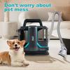 450W Water-Extraction Carpet and Cushion Cleaner - for Car Upholstery and Sofa Cushions