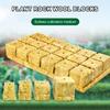 Кубики из минеральной ваты для рассады Стартовые листы для черенков Клонирование Размножение растений Стартовый гидропонный субстрат Кубики