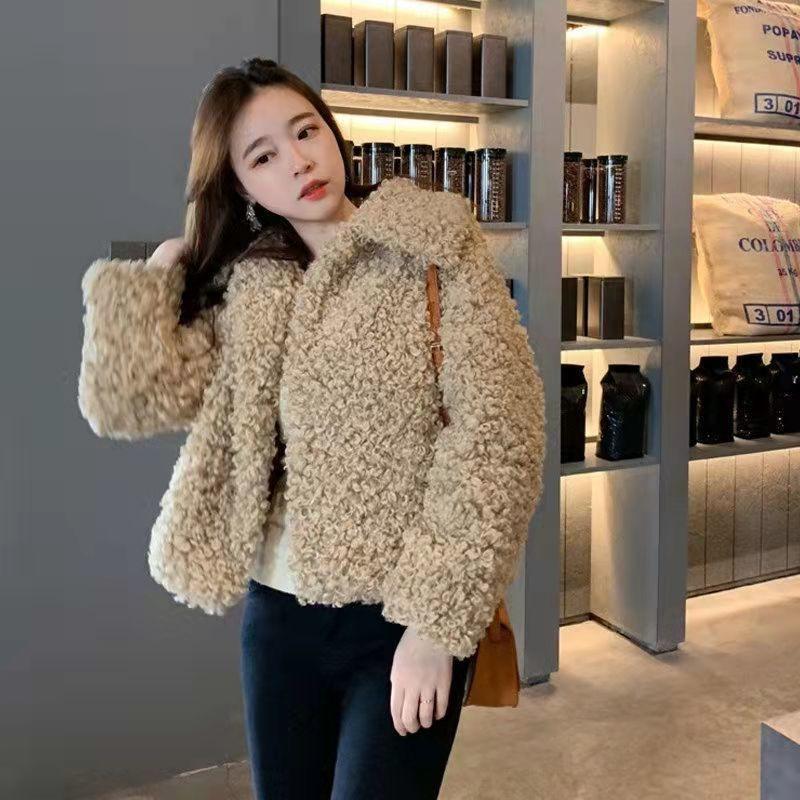 Lamb Wool Imitation Fur Jacket Autumn and Winter Fashion Warm Short Wool Sweater Casual Socialite Small