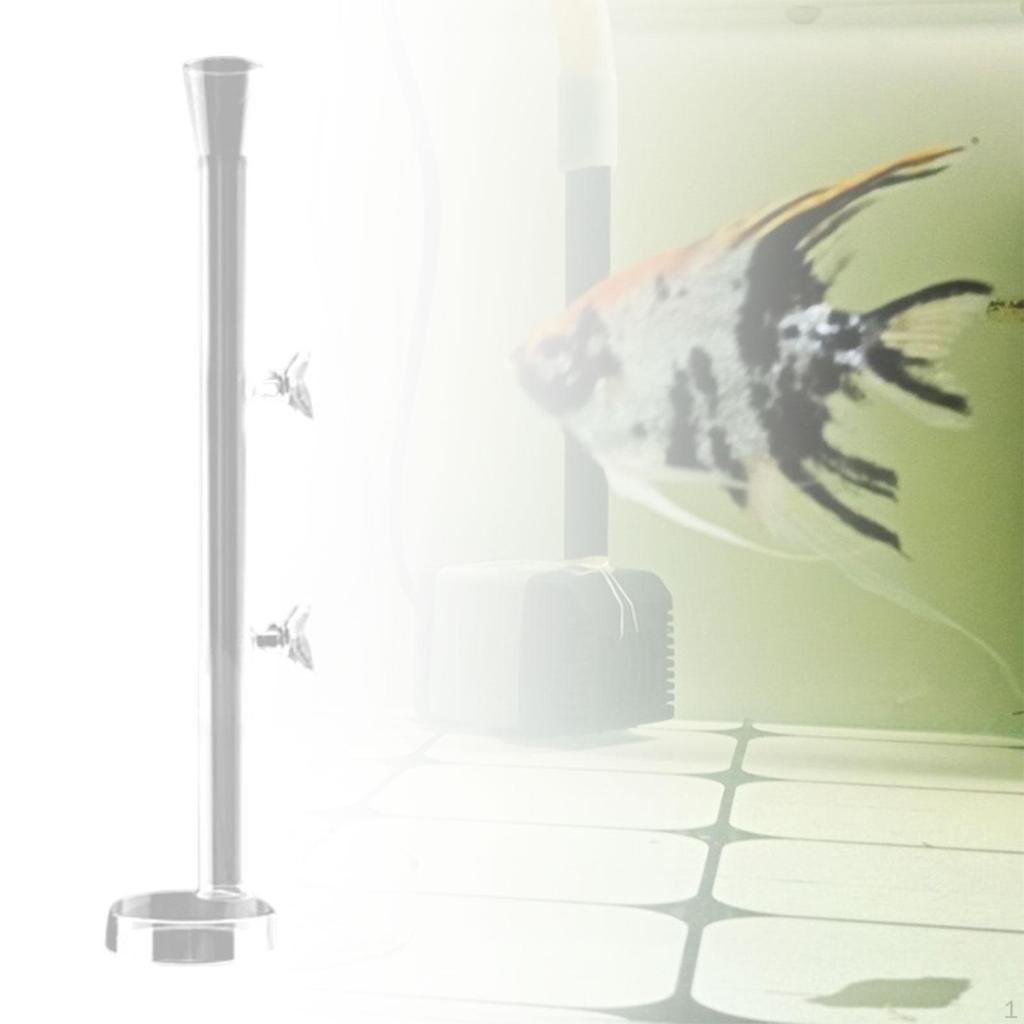 Кормушка с круглой кормовой пластиной — универсальные креветки для домашнего использования