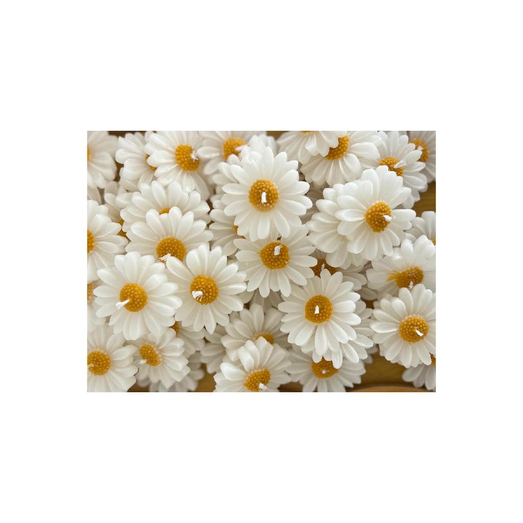 30 Daisy Candles, Wedding Candy, Birth, Circumcision, Wedding Engagement Promise, Henna, Birthday.