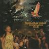CD РАЗНЫЕ ИСПОЛНИТЕЛИ - Spike Bar Joint Compilation Volume  SBR018 Spike Bar Joint 2009 Япония Регги, Ска и Даб