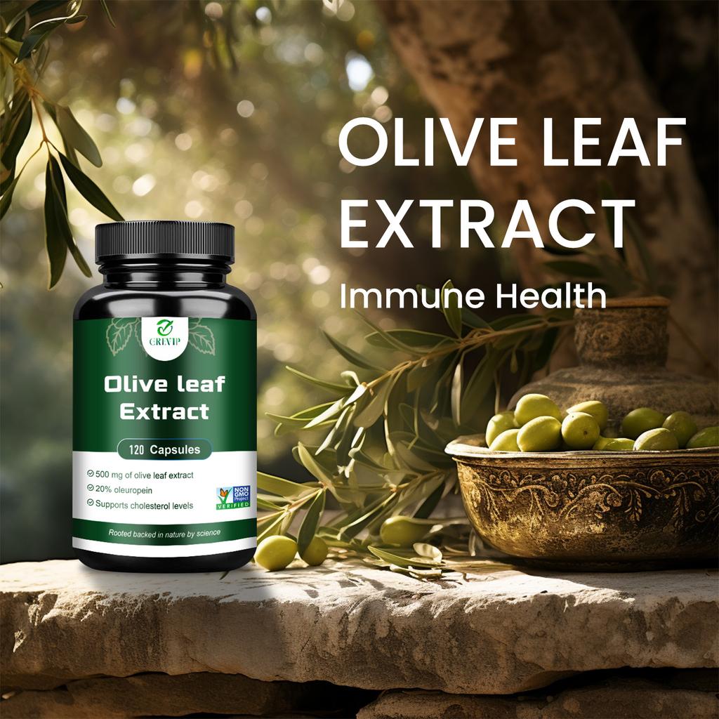 GREVIP Olive Leaf Extract Capsules, 500mg olive leaf extract, containing oleuropein, suitable for both men and women.