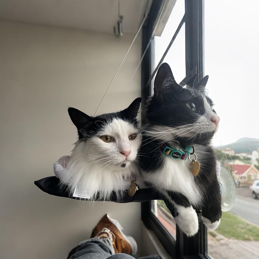 Лежанка для кошки на окно, гамак на окно для кошки, безопасная среда обитания, кошачий каркас, экономящее место окно, кошачье сиденье