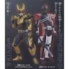 Серия Kamen Rider DXF-Dual Solid Heroes-vol.6 Набор из 2 штук Приз Banpresto
