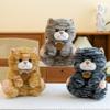 Cat Cute Plush Toys Cartoon Girl Children Bedroom Decoration Presents Dolls