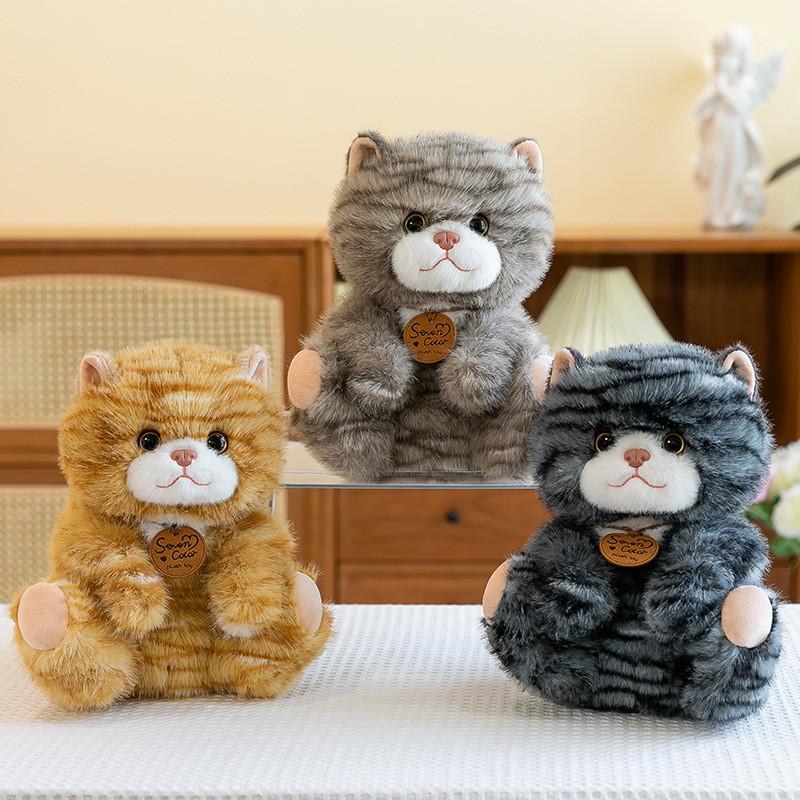 Cat Cute Plush Toys Cartoon Girl Children Bedroom Decoration Presents Dolls