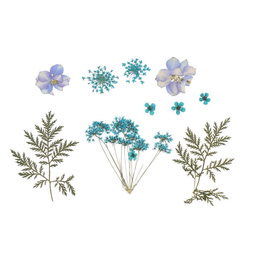 Jewelry Making Filling Materials Dried Flowers Resin Filler Beauty Decal Resin Mold Filling Flower