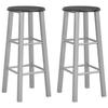 VidaXL Set of 2 Bar Stools, Pub Chair, Bistro Seat, Furniture for Dining Room Kitchen Living Room Home Interior, 284410