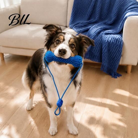 Interactive Pet Toy Dog Chew Toys for Aggressive Chewers, 2-in-1 Teeth Cleaning Dental Care with Rope, Bone Shaped TPR Tough Medium Large Breeds Puppy