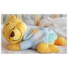 Disney Sleep Together Melody Winnie the Pooh