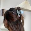 Korean Style Acetate Claw Clip Y2k Pen Shark Clip Sweet Pencil Shape Hair Claw  Women