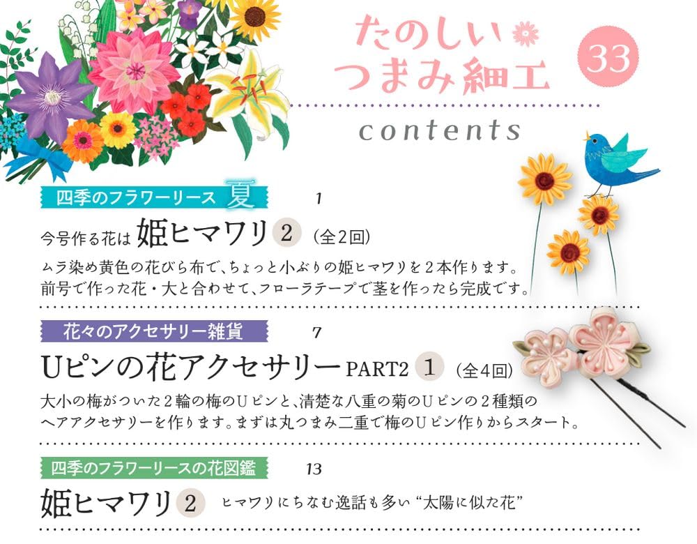 Веселый Цумами Зайку 33 Но. [Энциклопедия] (с комплектом)