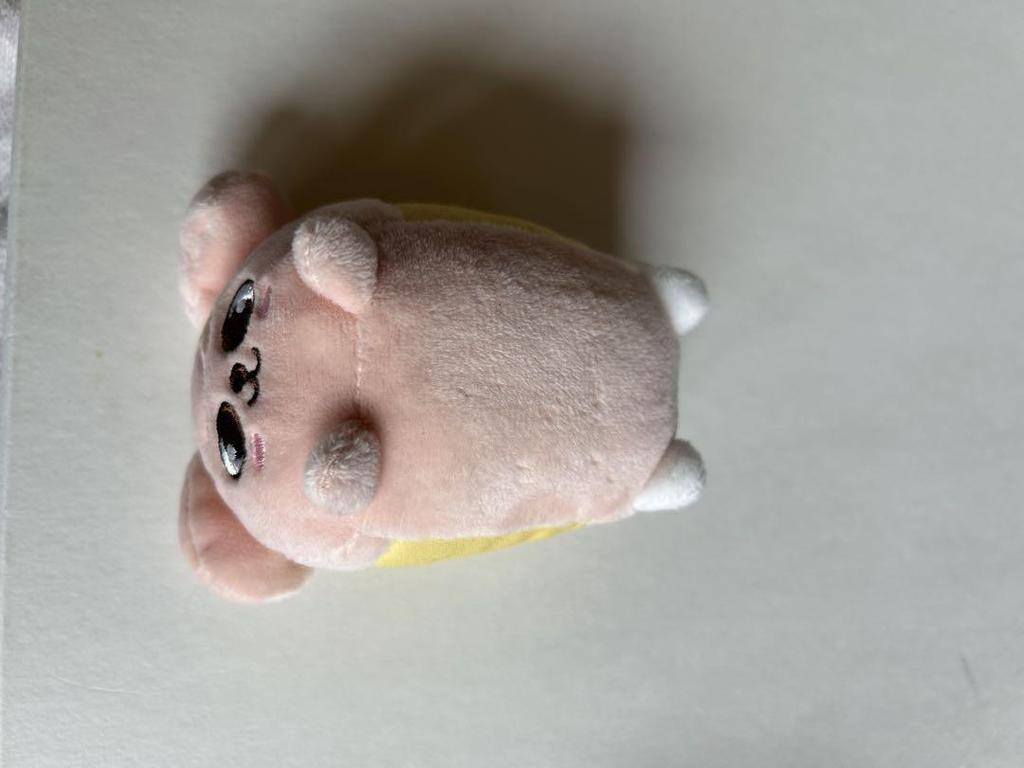 [Б/У] Брелок для сумки StrayKids Puppym