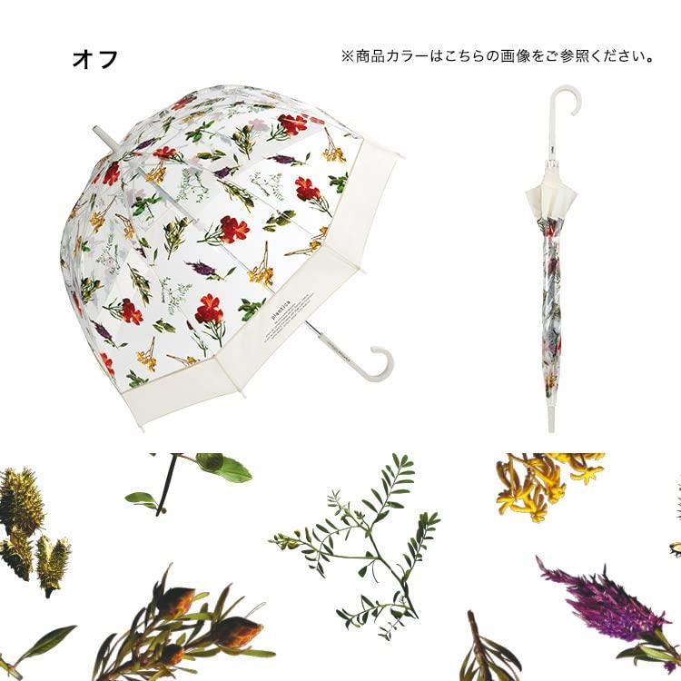 Vinyl Umbrella x Flower Long [2022] Wpc. [plantica Wpc.] Umbrella, Plastic, Off-White, 65cm, Women's Umbrella, PLV-015