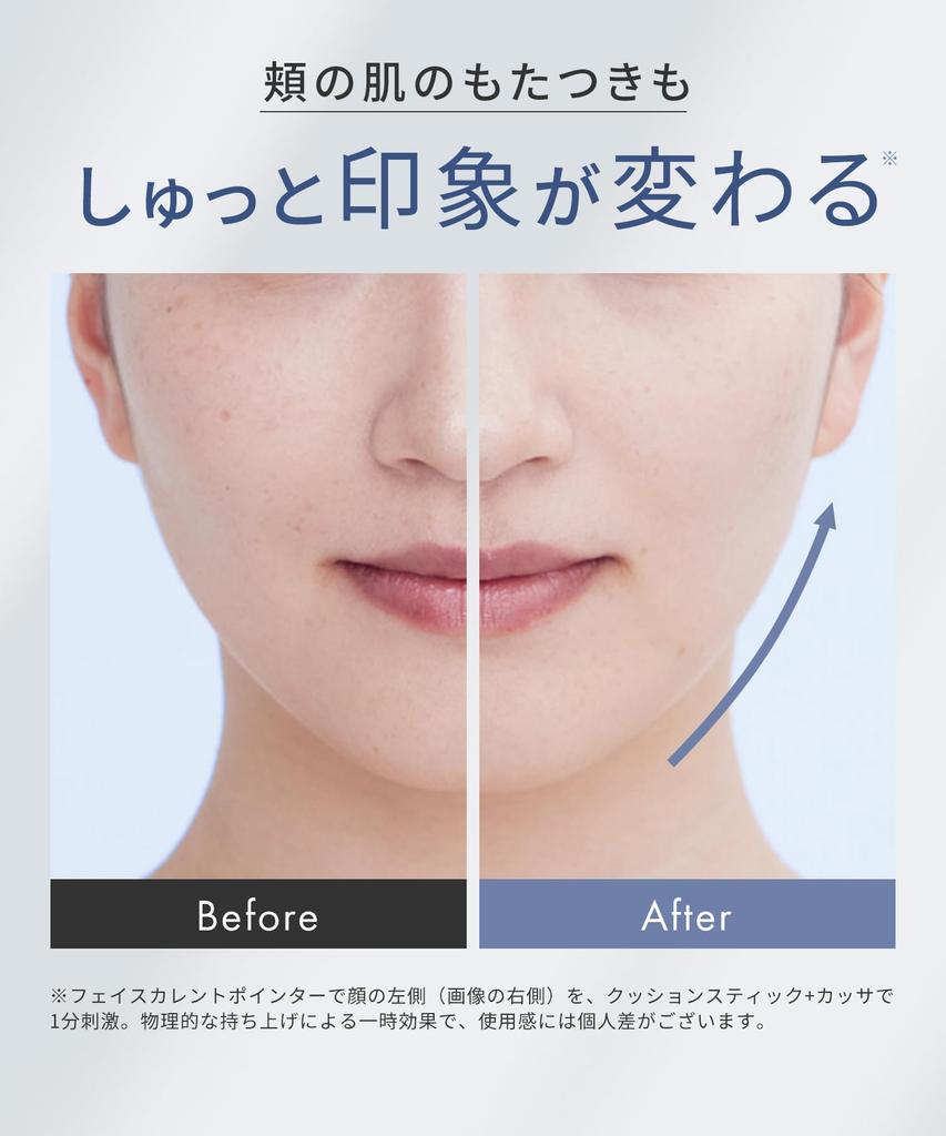SALONIA Указатель Face Current Facial Massager Ручка