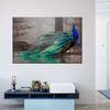 Elegant Blue Peacock Wall Pictures Wall Decor Beautiful Peacock Animal Posters and Prints for Living Room Wall Decor No Frame