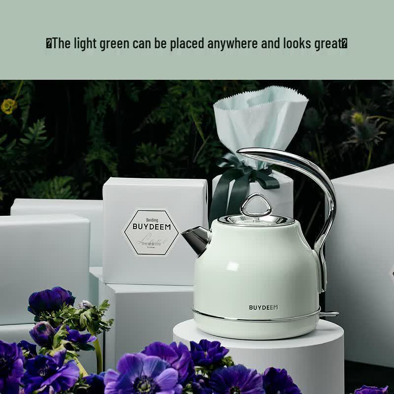 Buydeem K203 1.2L Stainless Steel Electric Kettle CN plug (adapter included)