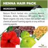 The Forest Herbs Natural Care From Nature Herbal Henna Powder, 500g Enriched with Precious Herbals for Hair Colour & Conditioning - Brown