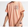Jordan Flight 23 Mesh Jersey T-Shirt Men Tops Mauve AO2827-814